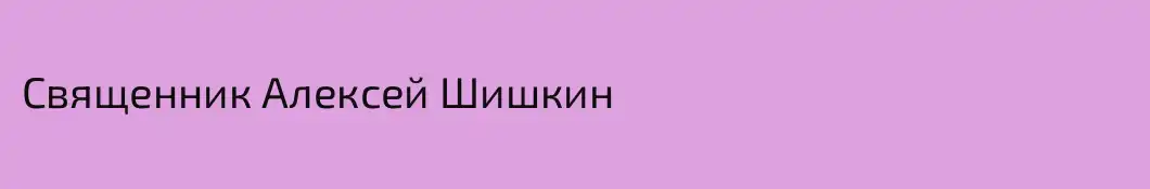 Священник Алексей Шишкин